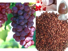 Чем полезен виноград для здоровья