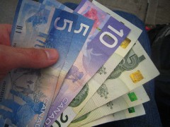 Канадский доллар - интересная и востребованная валюта