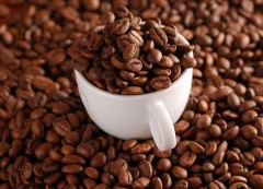 Самый дорогой кофе. Как растет кофе?